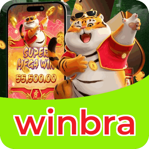 Verificação KYC winbra